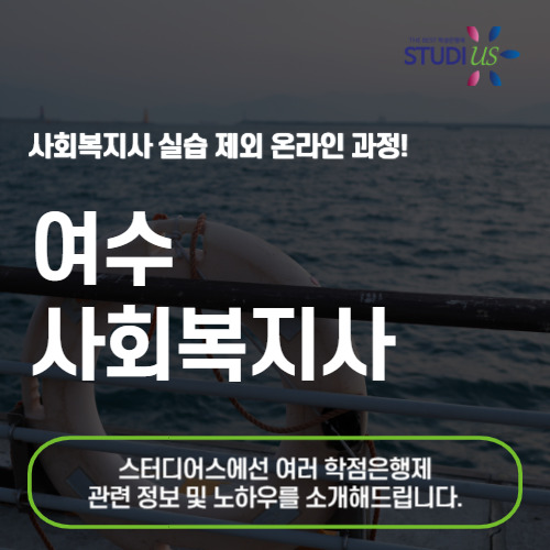 스터디어스 과정