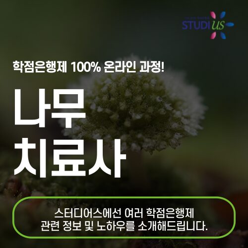 나무치료사 응시자격 학력, 경력 아닌 방법으로 준비!