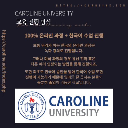 미국대학 박사