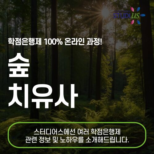 숲치유사 자격증 고졸도 온라인으로 산림지도사 준비!
